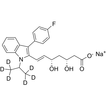 CS-4019