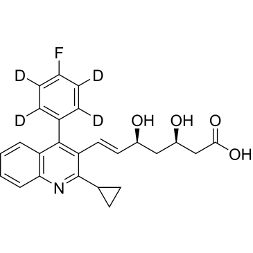 CS-4028