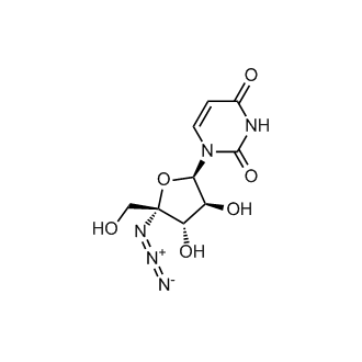 Nucleoside-Analog-2