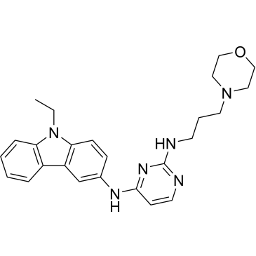 CS-4186