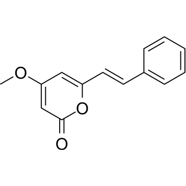 CS-4242
