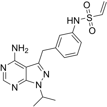 CS-4333
