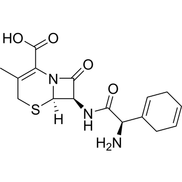 Cephradine|CS-4608