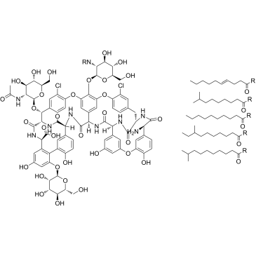 Teicoplanin|CS-4773