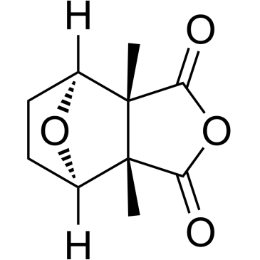 CS-4979