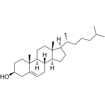 Cholesterol from animal|CS-5106