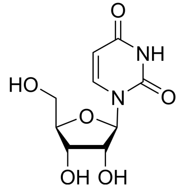 CS-5153