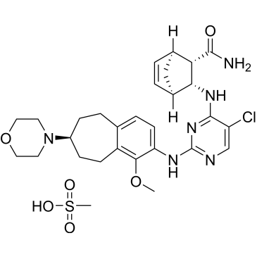 CS-5175