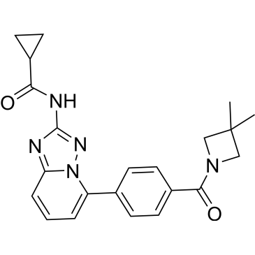 CS-5204