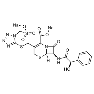 Cefonicid sodium|CS-5306