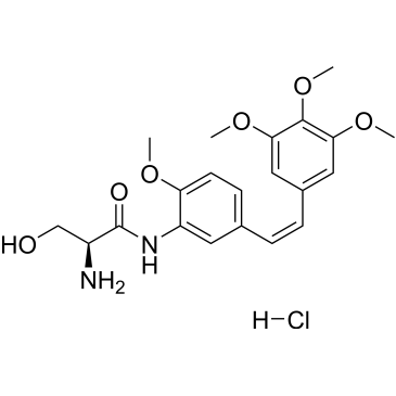 CS-5451