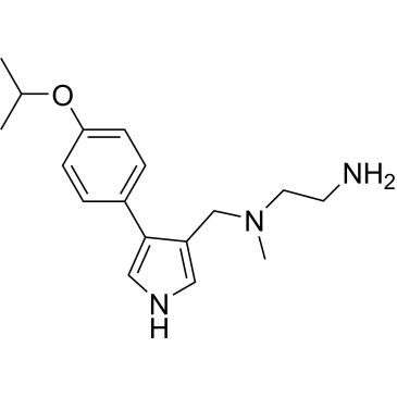 CS-5481