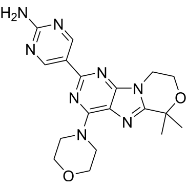 CS-5638
