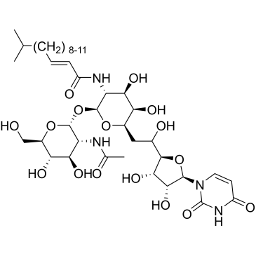 CS-5779