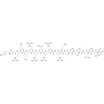 CS-5808