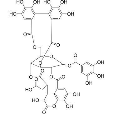 Chebulagic acid|CS-5820