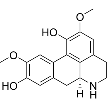 CS-6003