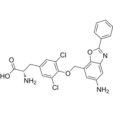CS-6064