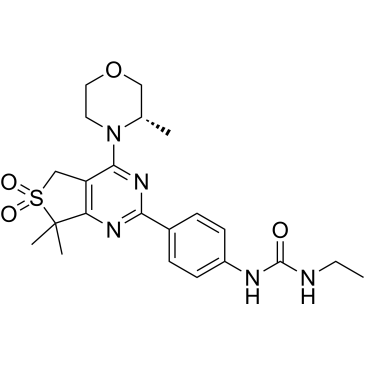 CS-6131