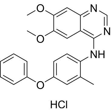 CS-6151
