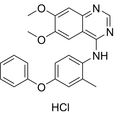 APS-2-79 hydrochloride|CS-6151