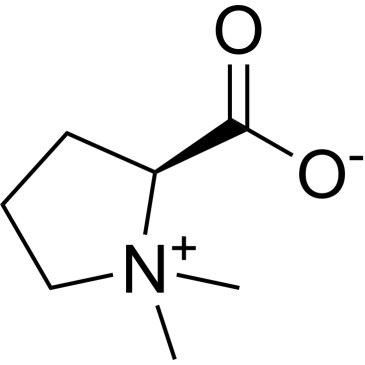 CS-6251