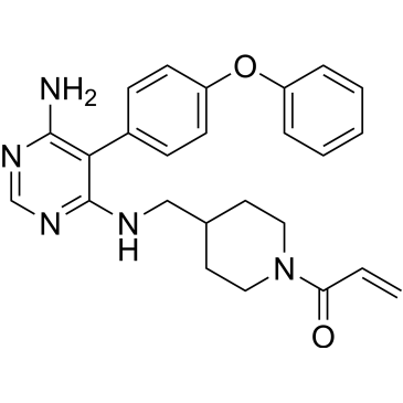 CS-6303