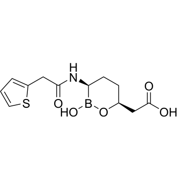 CS-6445