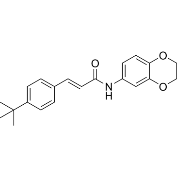 CS-6481