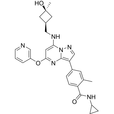 CS-6527