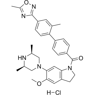 CS-6686