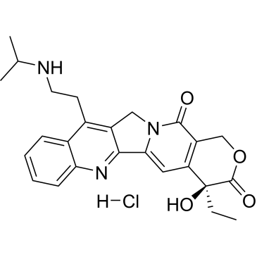 CS-6955