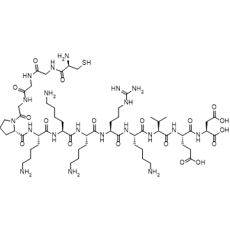 SV40 large T antigen NLS|CS-7059