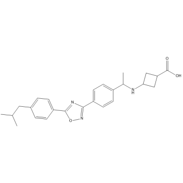 S1PR1-MO-1|CS-7426