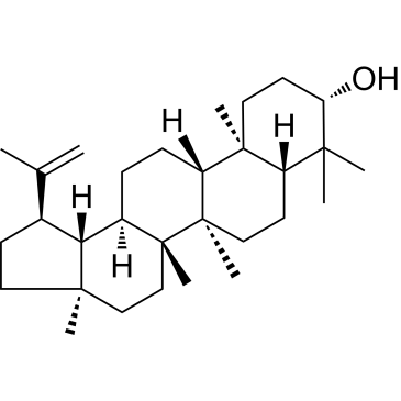 CS-7563