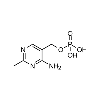 HMP-P|CS-7642