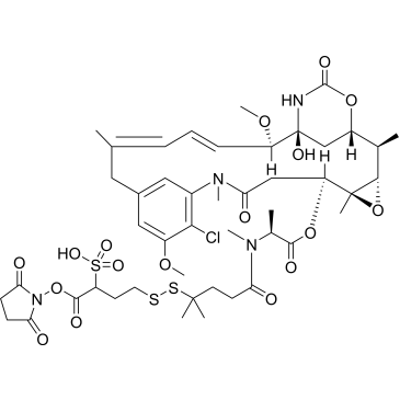 sulfo-SPDB-DM4|CS-7649