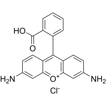 CS-7699