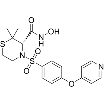 CS-7961
