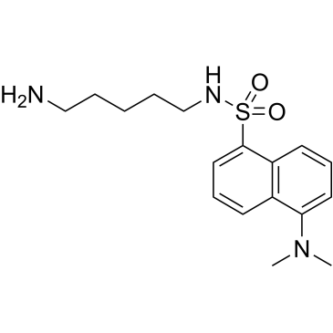 CS-8078