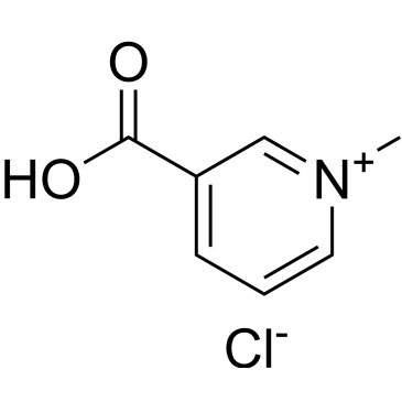 CS-8097