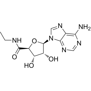CS-8131