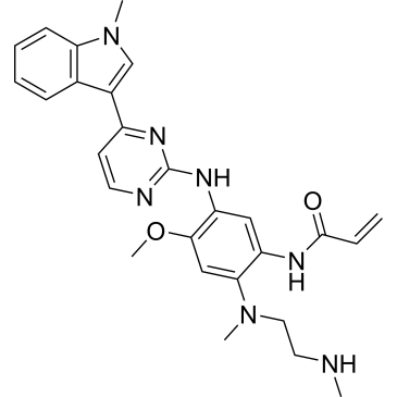 CS-8145