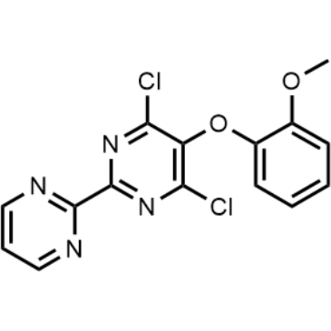 4,6-Dichloro-5-(2-methoxyphenoxy)-2,2'-bipyrimidine|CS-B0151