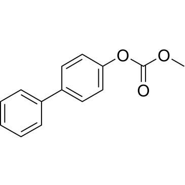 CS-B0275