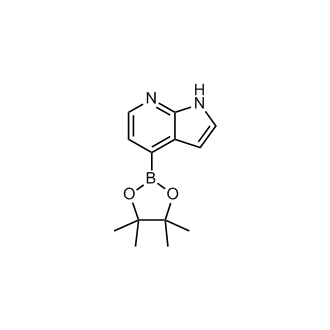 4-(4,4,5,5-Tetramethyl-1,3,2-dioxaborolan-2-yl)-1H-pyrrolo[2,3-b]pyridine|CS-B0489