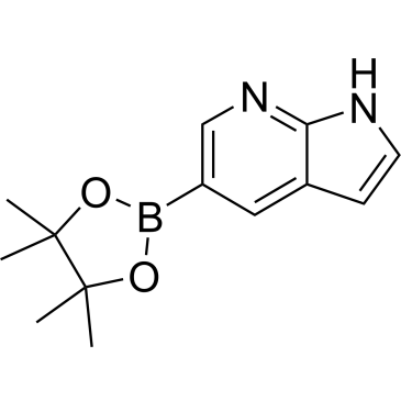 CS-B0499