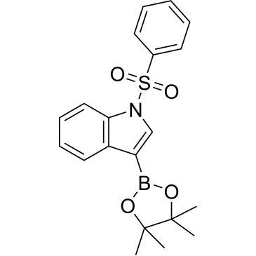 CS-B1224