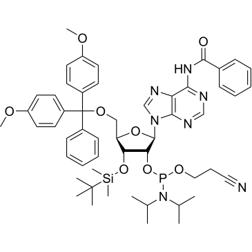 3'-TBDMS-Bz-rA Phosphoramidite|CS-B1533
