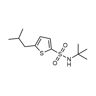 N-(tert-Butyl)-5-isobutylthiophene-2-sulfonamide|CS-D0079